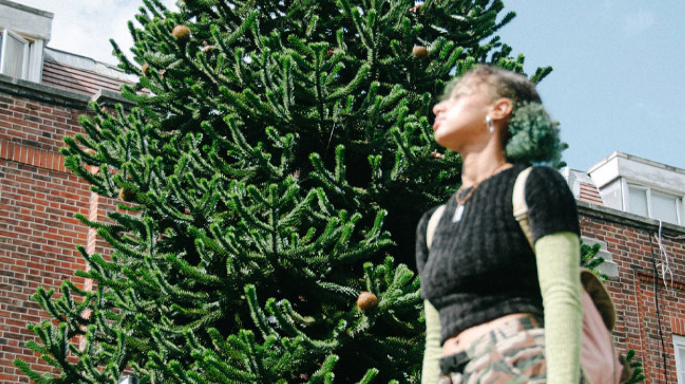 Branching off with Out of the Forest