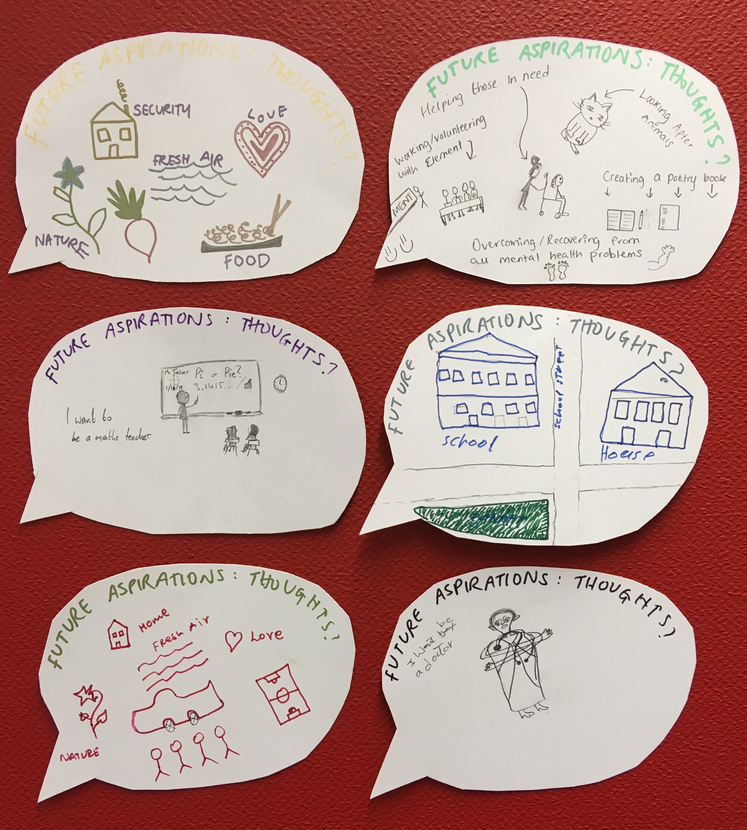 Future aspirations.jpeg