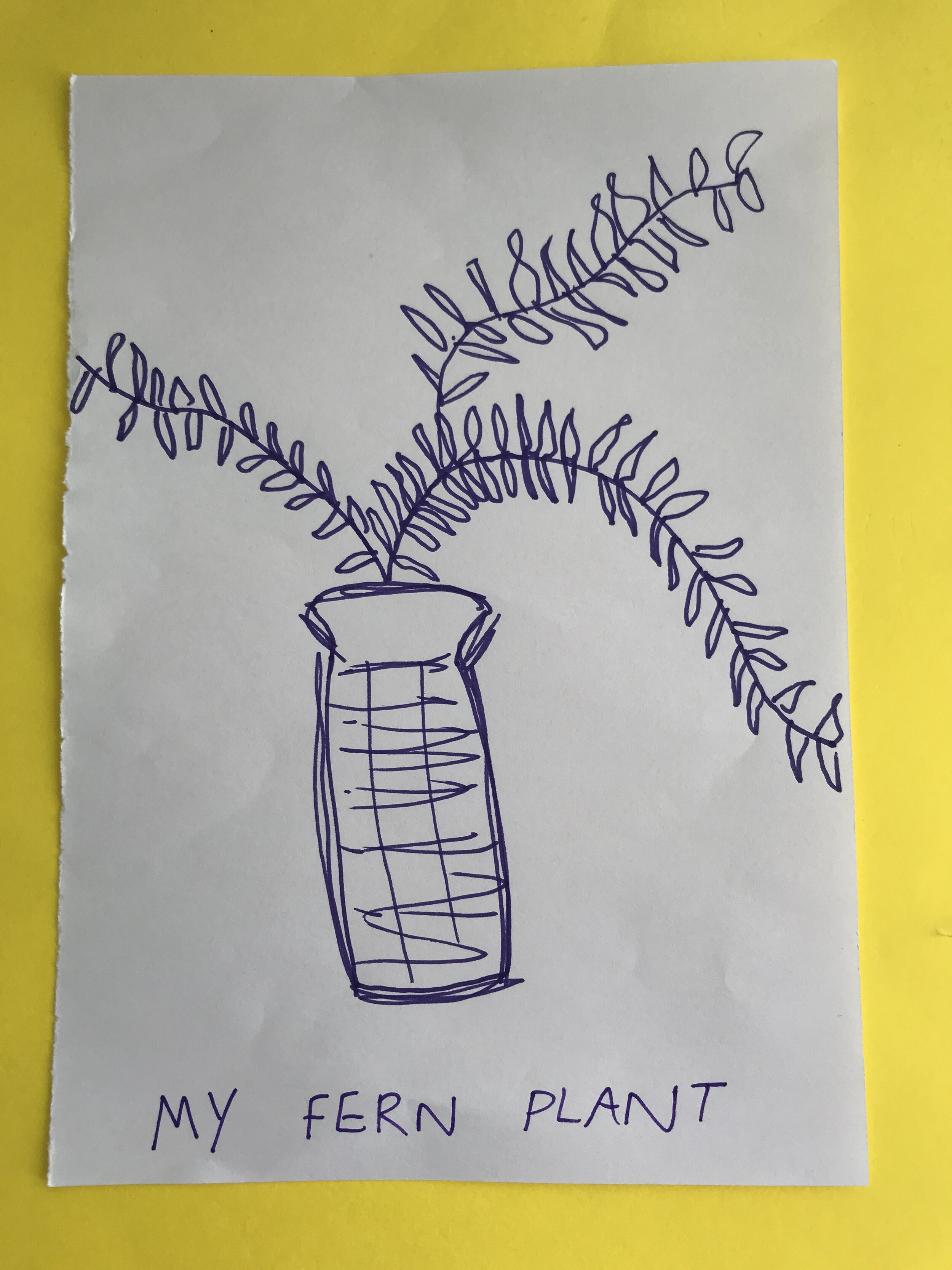 What have Element Young Creatives been up to during lockdown?