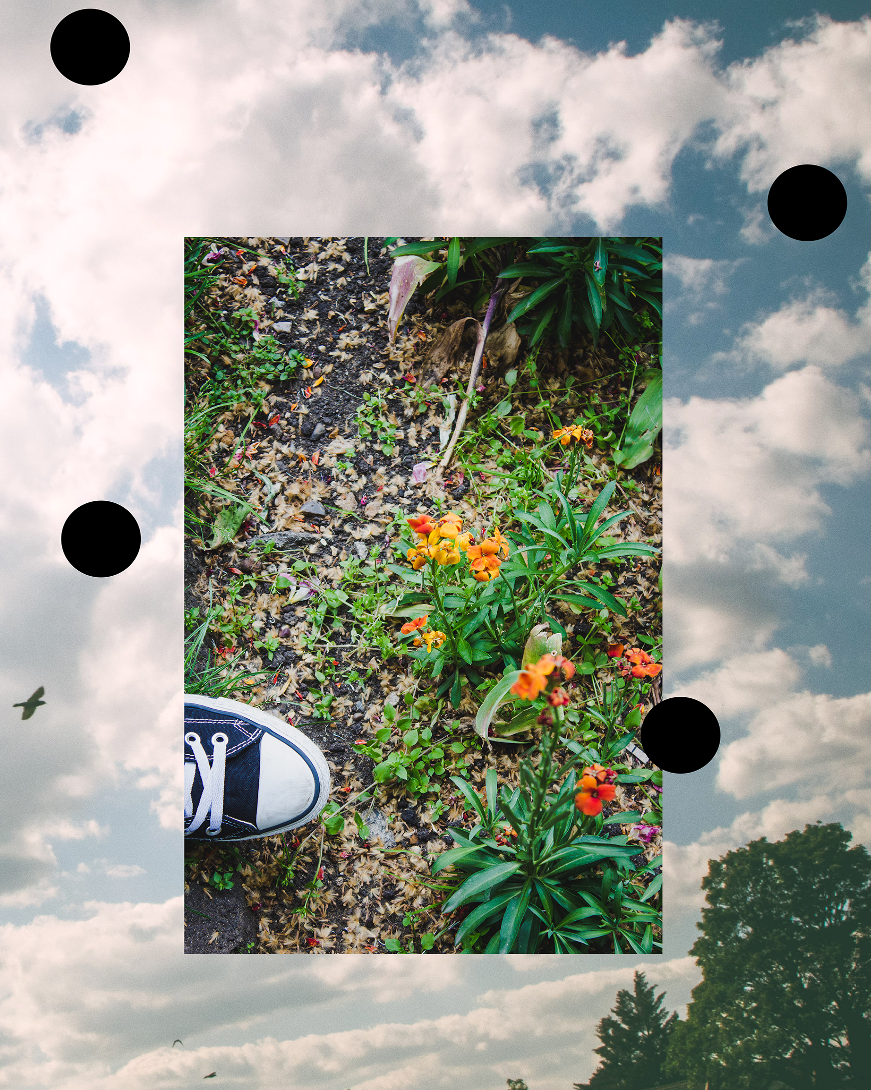 Connecting Through Creativity: The Element Zine